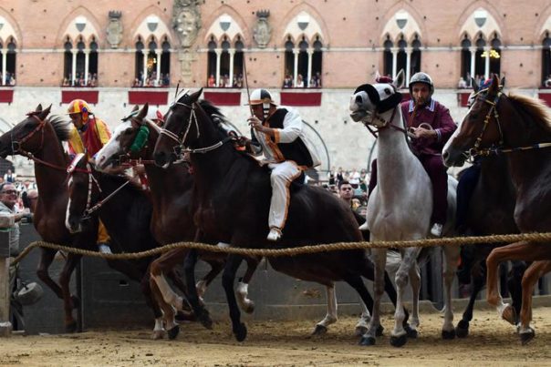 Palio Di Siena Per La Carriera Dell Assunta Estratte Le Contrade Onda