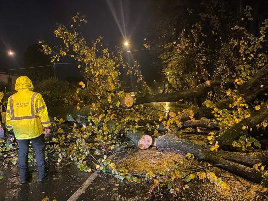 Vento Forte E Pioggia In Versilia Tromba D Aria A Torre Del Lago