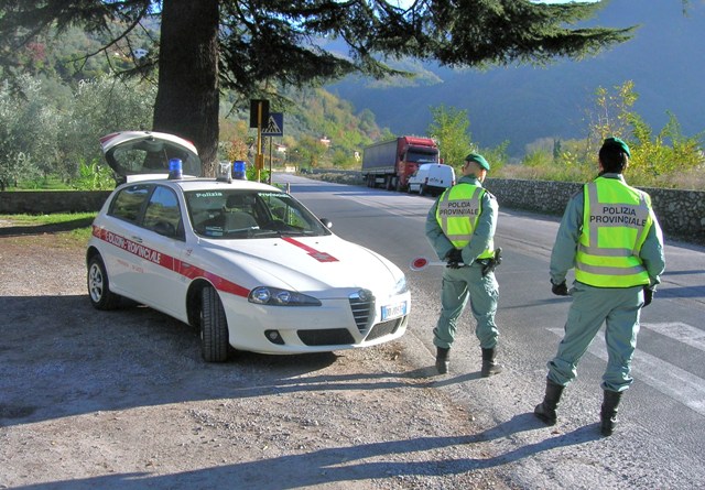 Paletta agente 