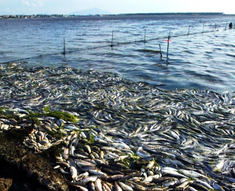 Laguna Orbetello 