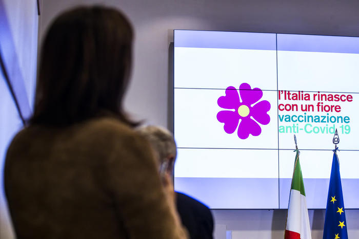 Vaccino: una primula viola simbolo della campagna ...