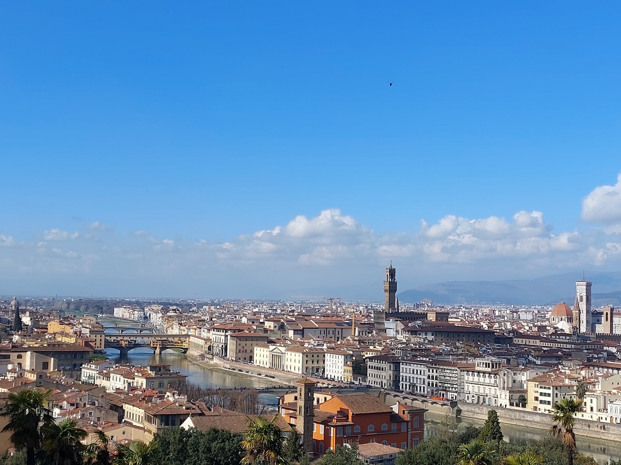 Firenze Quartiere 