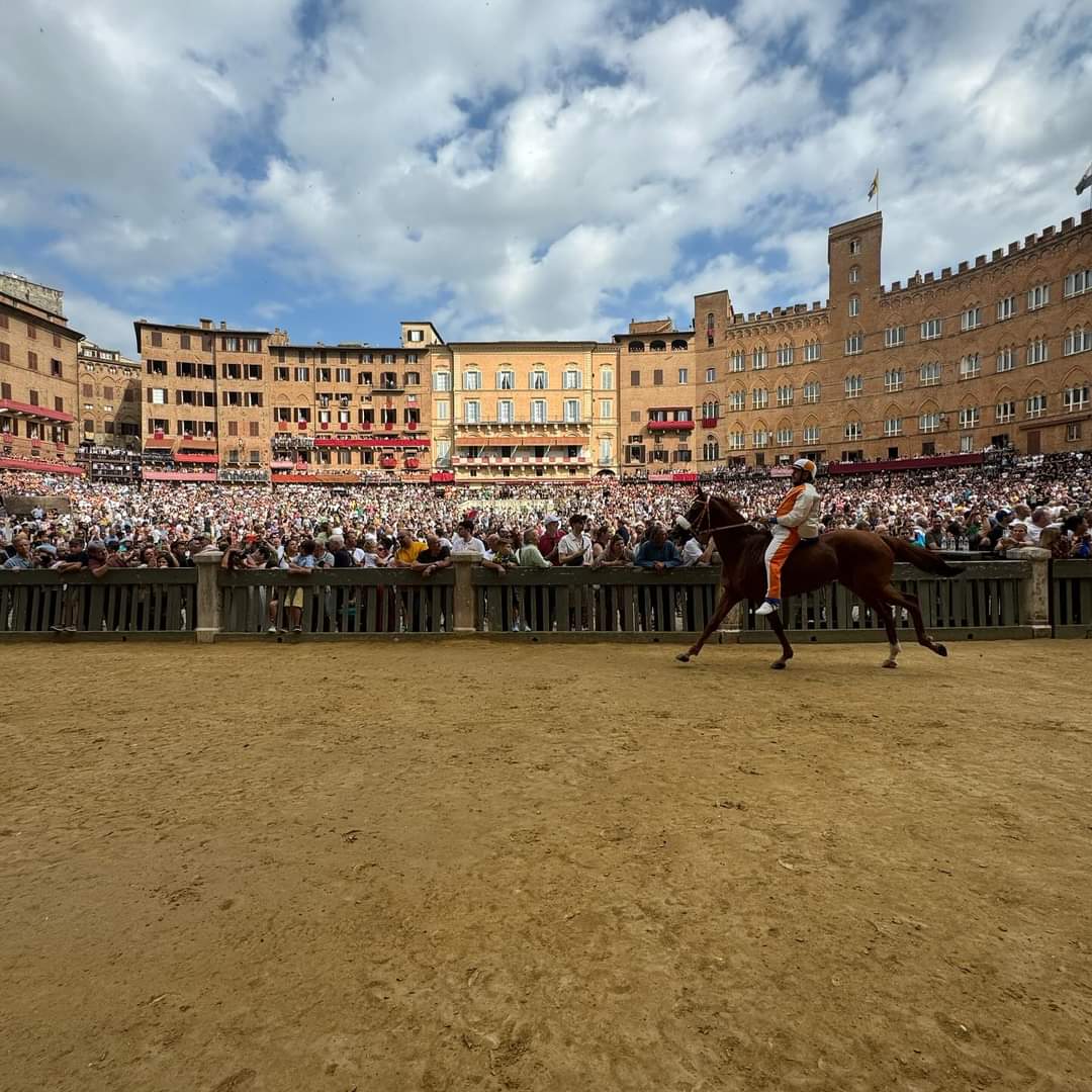 Palio di Siena 2024: il Nicchio con il cavallo scosso vince la prova generale