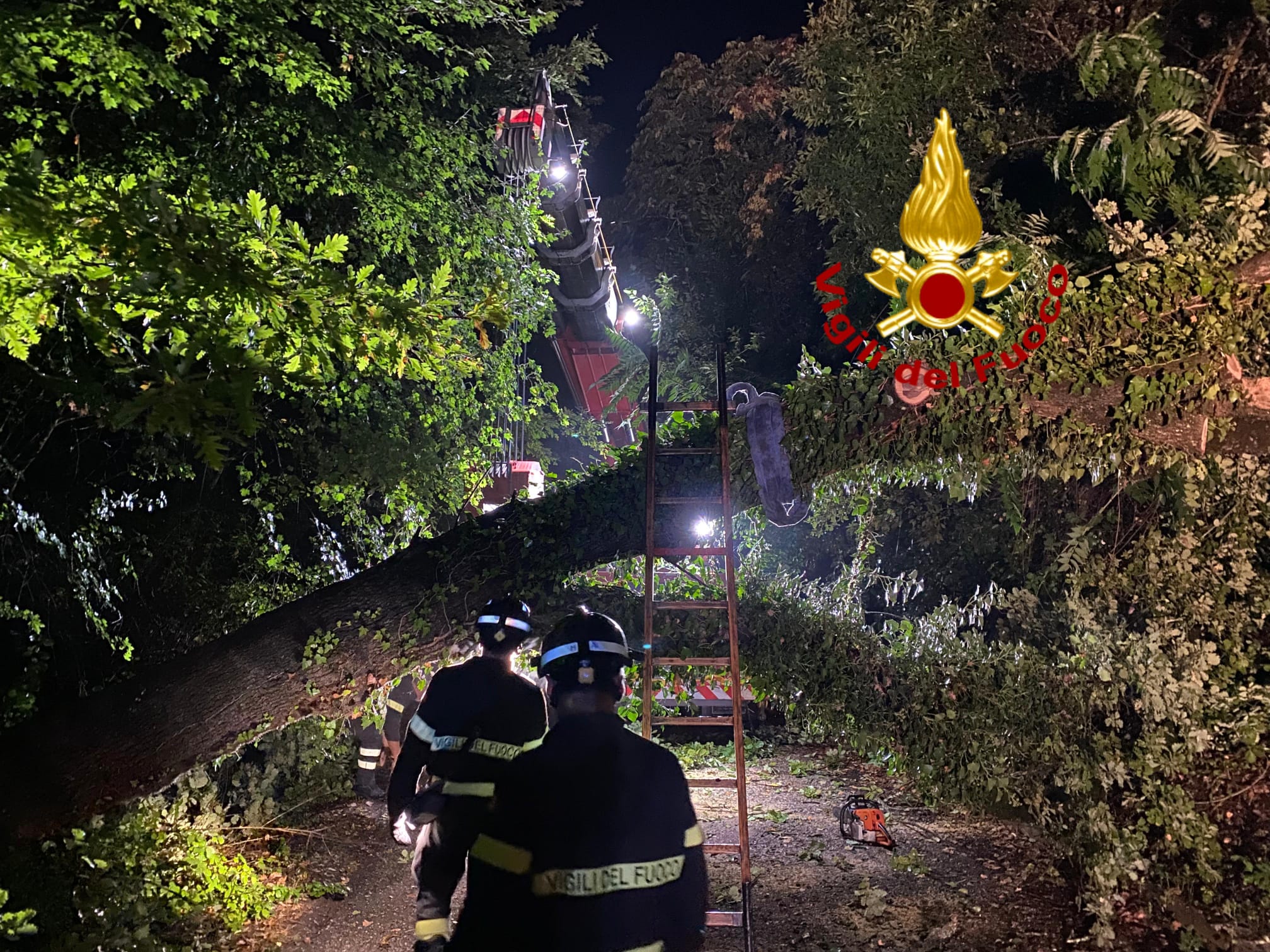 Maltempo: decine di soccorsi nella notte. Albero caduto in strada a Barberino di Mugello (foto)