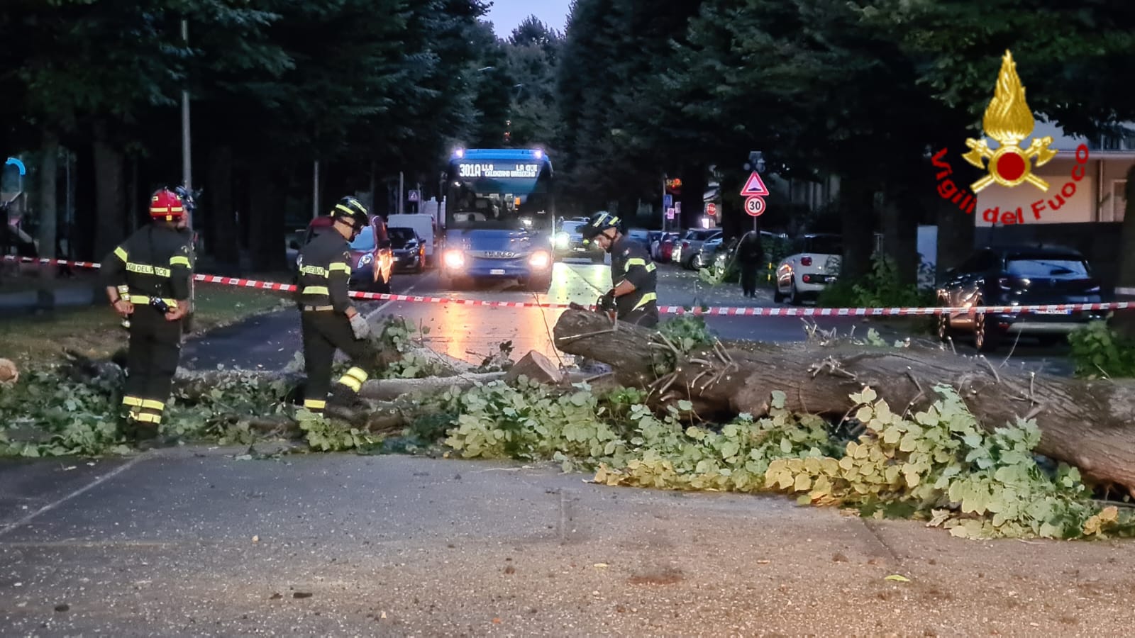 Prato: grosso albero cade in via Firenze. Traffico bloccato (foto)