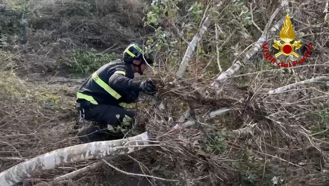 Montecatini Val di Cecina: è della nonna tedesca il cadavere nel fango. Si cerca ancora Noah